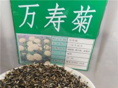 万寿菊种子